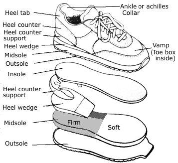 Anatomy of a tennis shoe